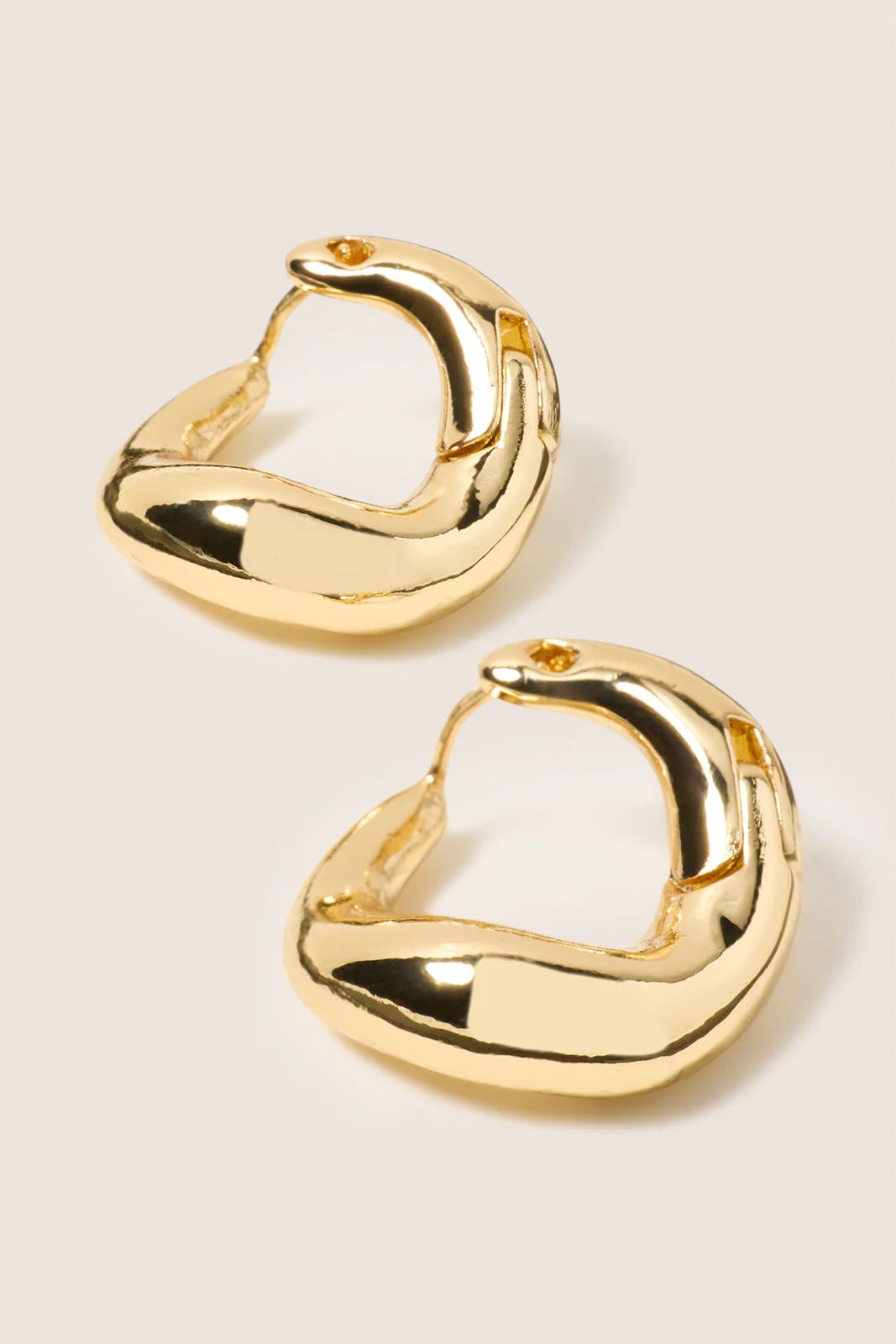 Rylee Small Hoop Earring